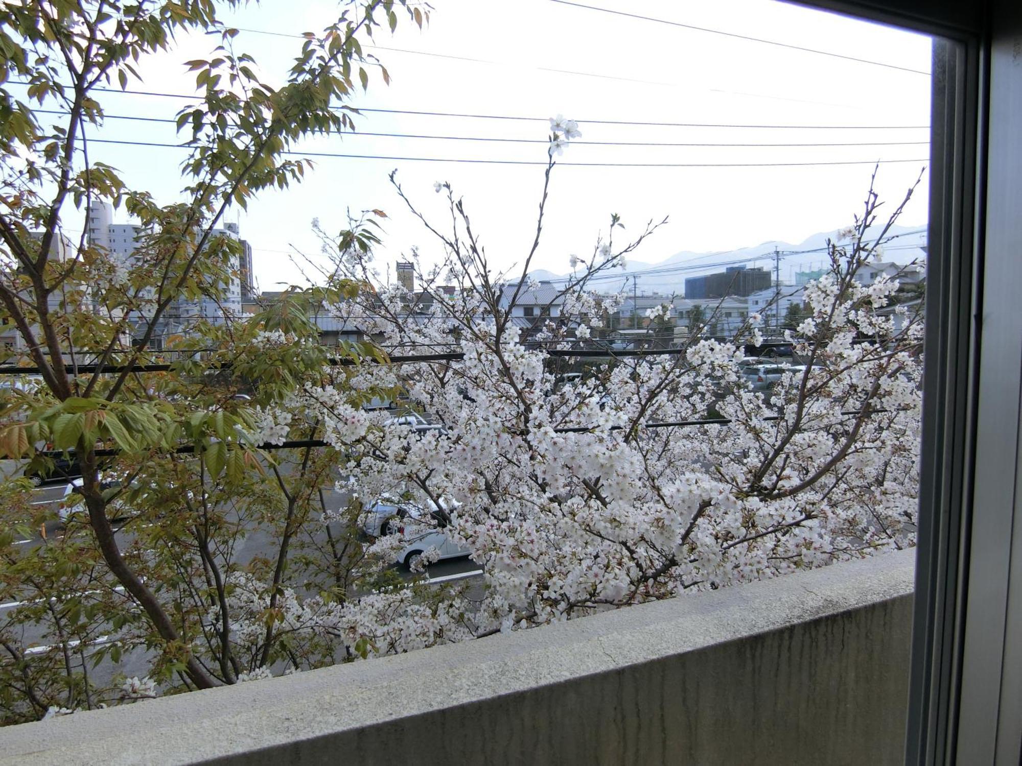 Simple Stay Beppu Habitación foto